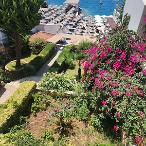 Hotel Amelie's &, Sarandë
